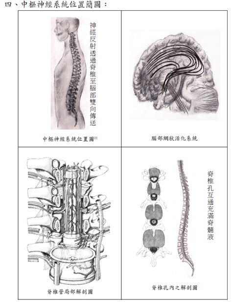 生理是什麼意思|人類生理學/生理學簡介